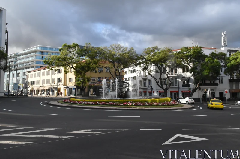 Cityscape Fountain Scene in Madeira Free Stock Photo