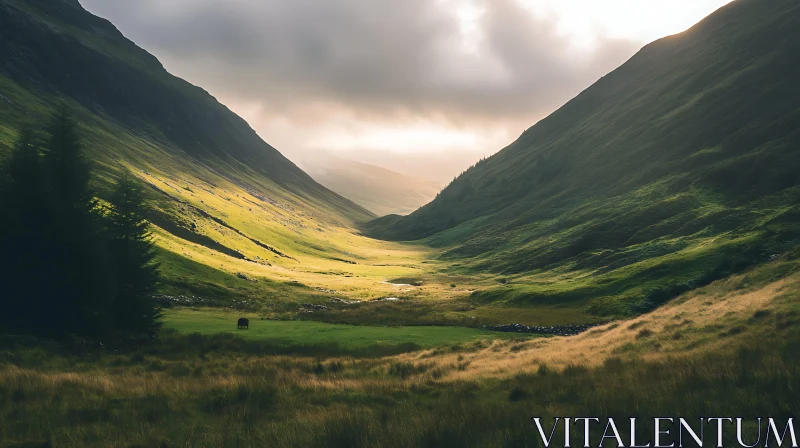 AI ART Lush Valley View with Sunlight