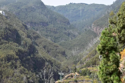 Cable Cars Amidst Lush Mountains