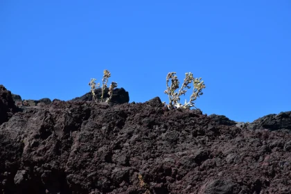 Stark Beauty of Volcanic Terrain