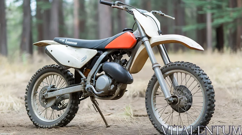 Vintage Dirt Bike in Forest Setting AI Image