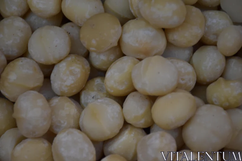 PHOTO Detailed Texture of Macadamia Nuts