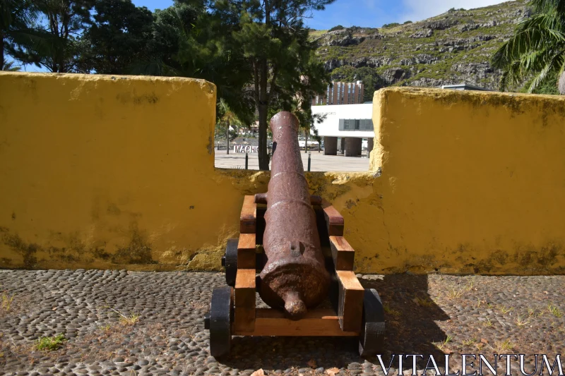 Ancient Cannon Overlooking Madeira Landscape Free Stock Photo