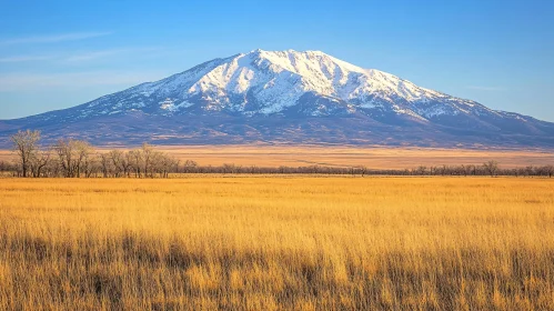 Majestic Mountain and Golden Field Scenery