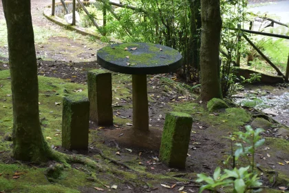 Forest Serenity with Mossy Stone Table