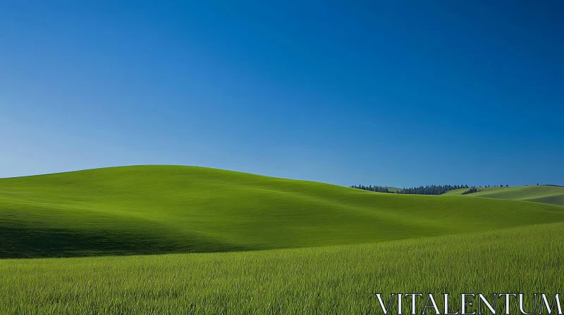 Peaceful Green Field Landscape AI Image