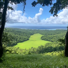 Verdant Valley Vista