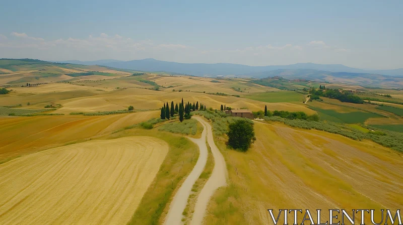 AI ART Rolling Hills of Tuscany with Villa