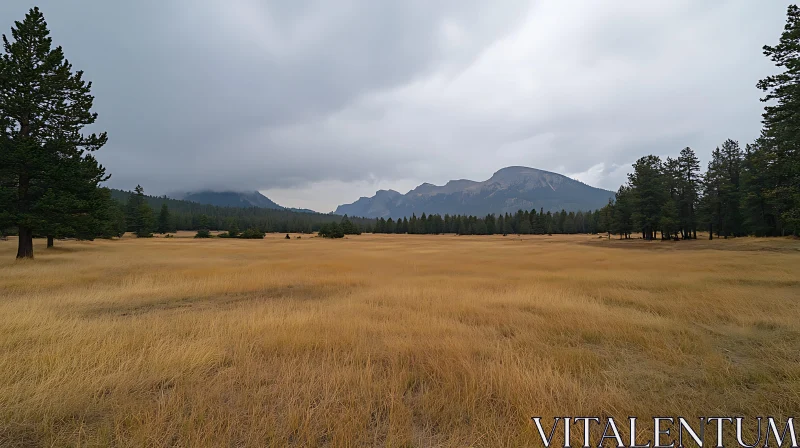 Tranquil Mountain Meadow Landscape AI Image