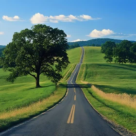 Scenic Road and Green Hillside View