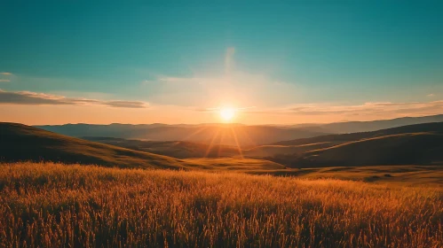 Peaceful Sunset Field View