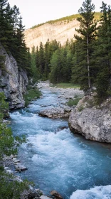 Mountain River in Forest Landscape