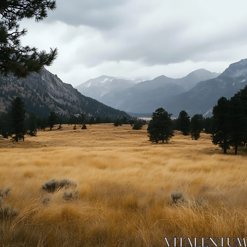 AI ART Golden Field and Mountain Vista