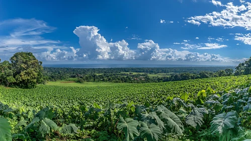 Verdant Landscape with Cloudscape