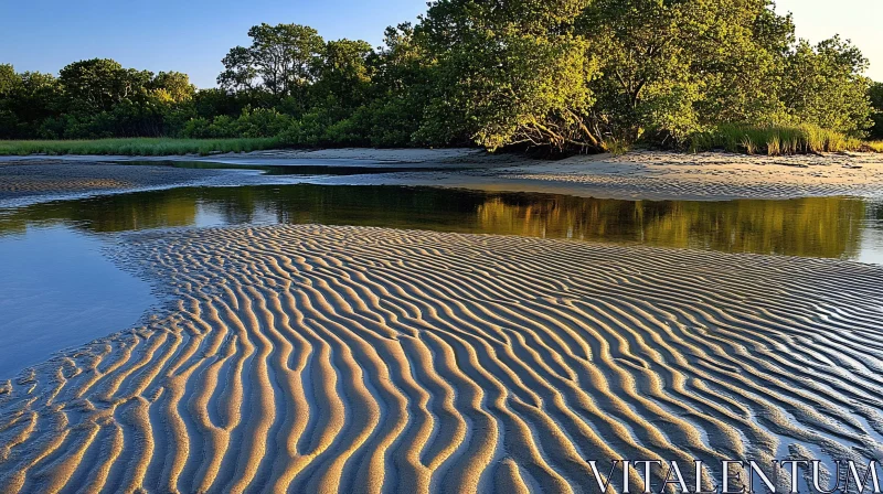 AI ART Coastal Landscape with Sunlit Sand and Reflections