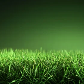 Green Grass Background