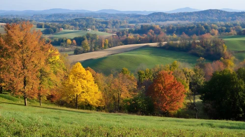 Scenic Autumn Landscape with Rolling Hills