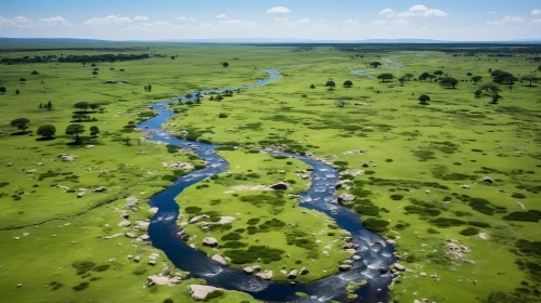 Aerial View of Majestic River in Lush Green Land | Nature Art