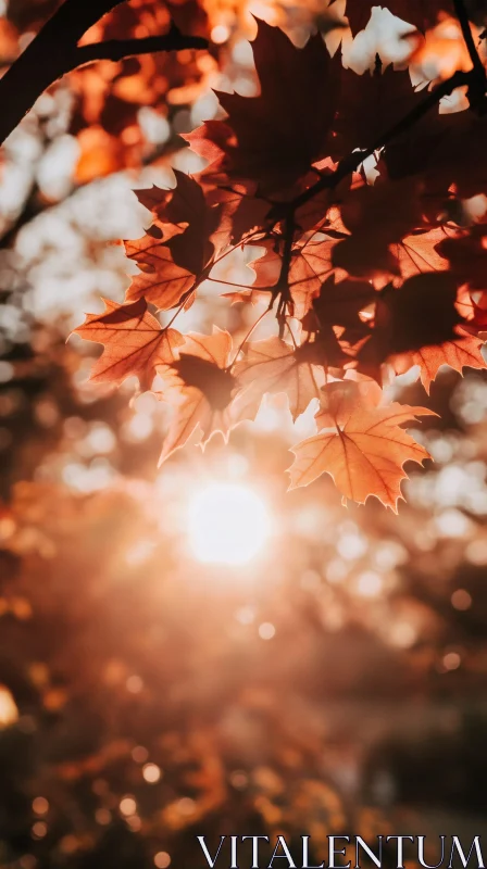 AI ART Maple Leaves in Autumn Sunlight