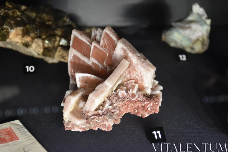 PHOTO Geological Mineral Display