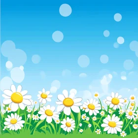 Field of Daisies Under Blue Sky