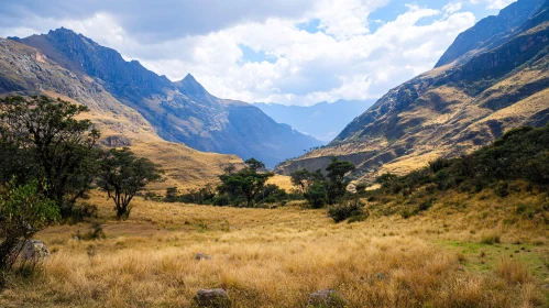 Golden Grassland and Mountain View