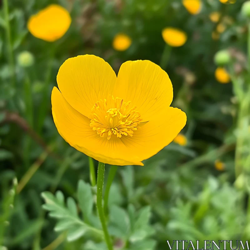 Bright Yellow Flower Blossom AI Image