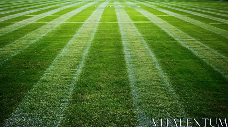 Perfectly Striped Green Field AI Image