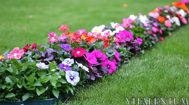 Floral Display in Garden Setting AI Image