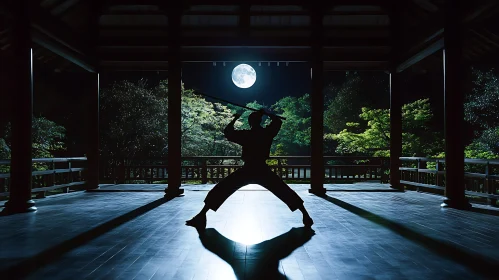 Moonlit Ninja Warrior