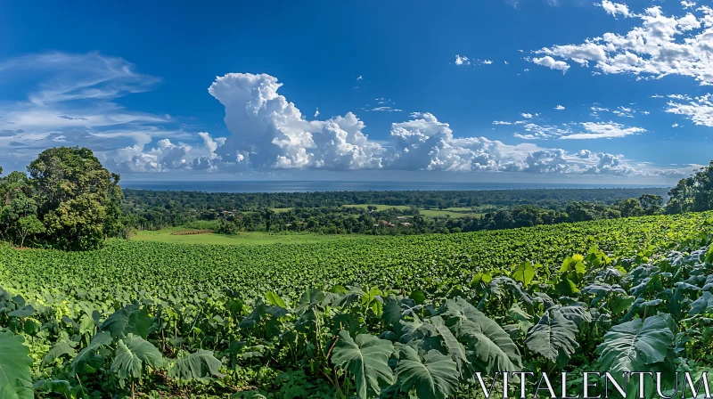 Verdant Landscape with Cloudscape AI Image