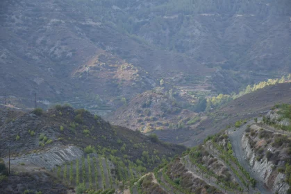 Scenic View of a Lush Valley