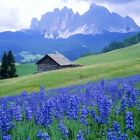 Scenic Mountain Landscape with Blue Flowers