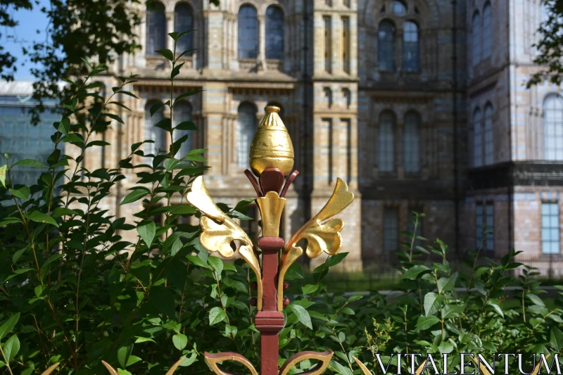 Ornate Fence in Urban Landscape Free Stock Photo