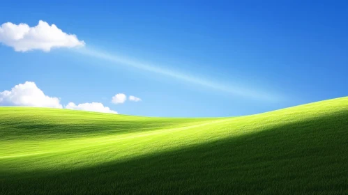 Peaceful Green Field Landscape