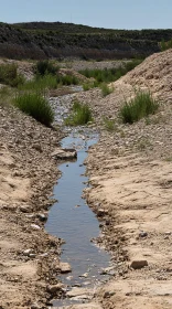 Parched Lands with a Meandering Stream