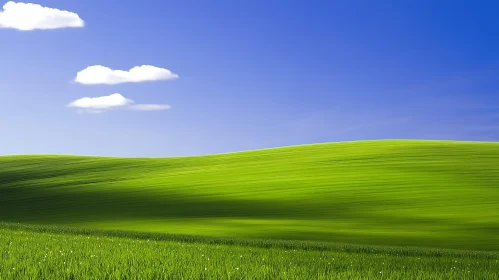 Peaceful Green Field Landscape