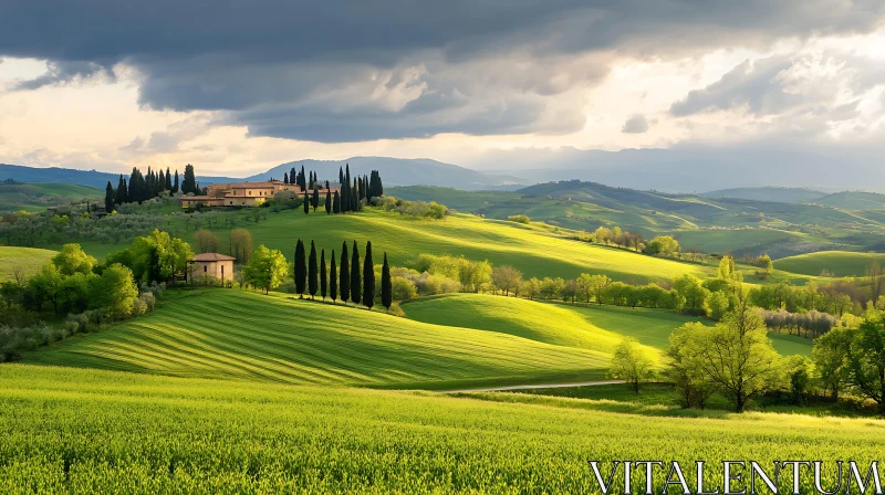 Tranquil Green Hills of Tuscany AI Image