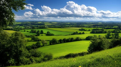 Picturesque Green Landscape with Trees