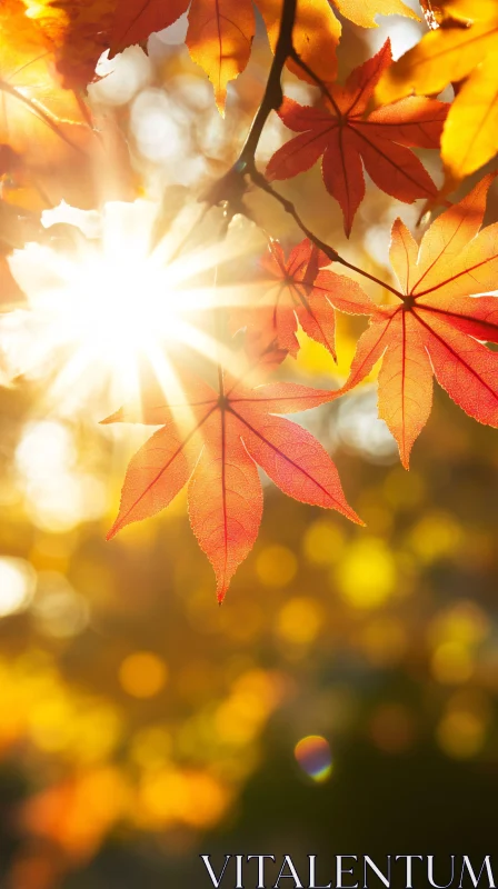 AI ART Warm Autumn Sun Through Leaves