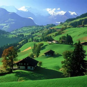 Green Hills and Snowy Mountain Peaks