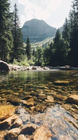 Tranquil Mountain Landscape with Clear Stream