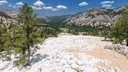 Mountain View with Pine Trees and Rocky Terrain