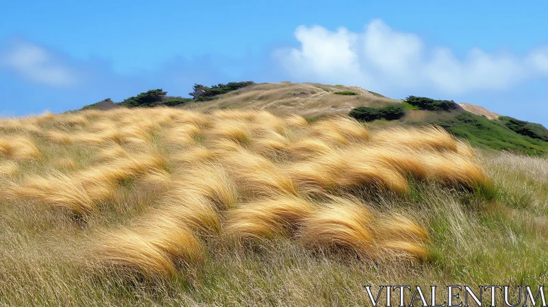 AI ART Scenic Field of Golden Grass