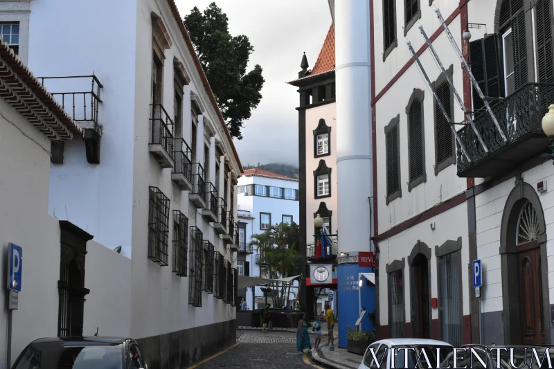 Madeira's Picturesque Urban Scene Free Stock Photo