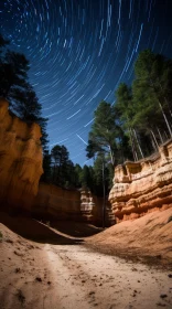Enchanting Star Trails over Desert and Treed Area | Atmospheric Woodland Imagery