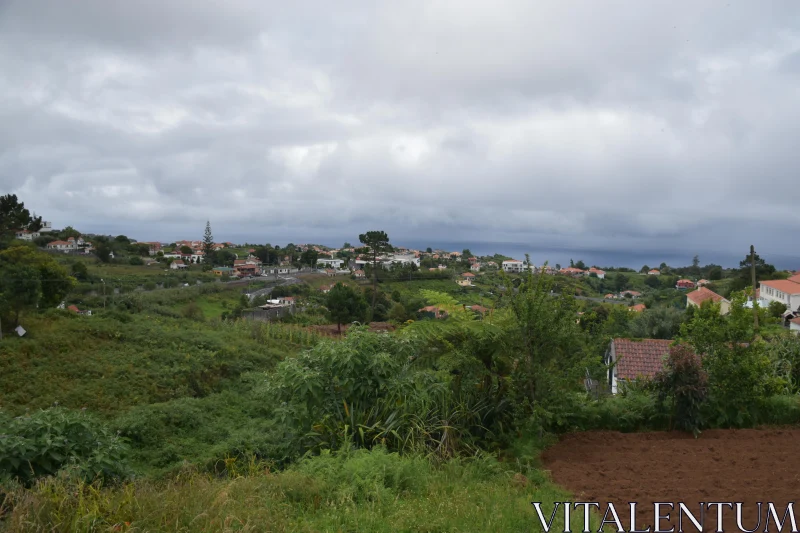 Peaceful Rural Scene in Madeira Free Stock Photo