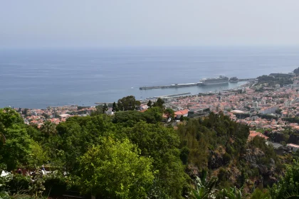 Funchal Cityscape and Ocean View