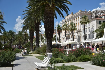 Palm-Lined Walkway in Split