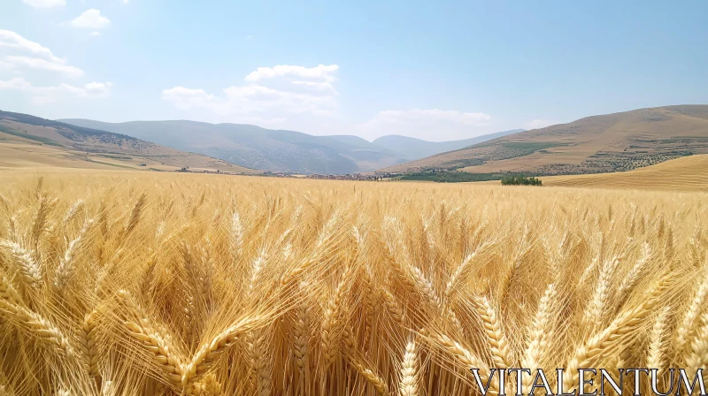 AI ART Scenic Wheat Field Landscape